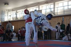 Hirundo cup 2010