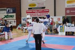 Turnaje 2010