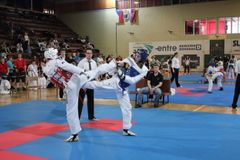 Czech open 2013