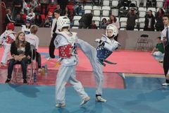Cobra cup 2016